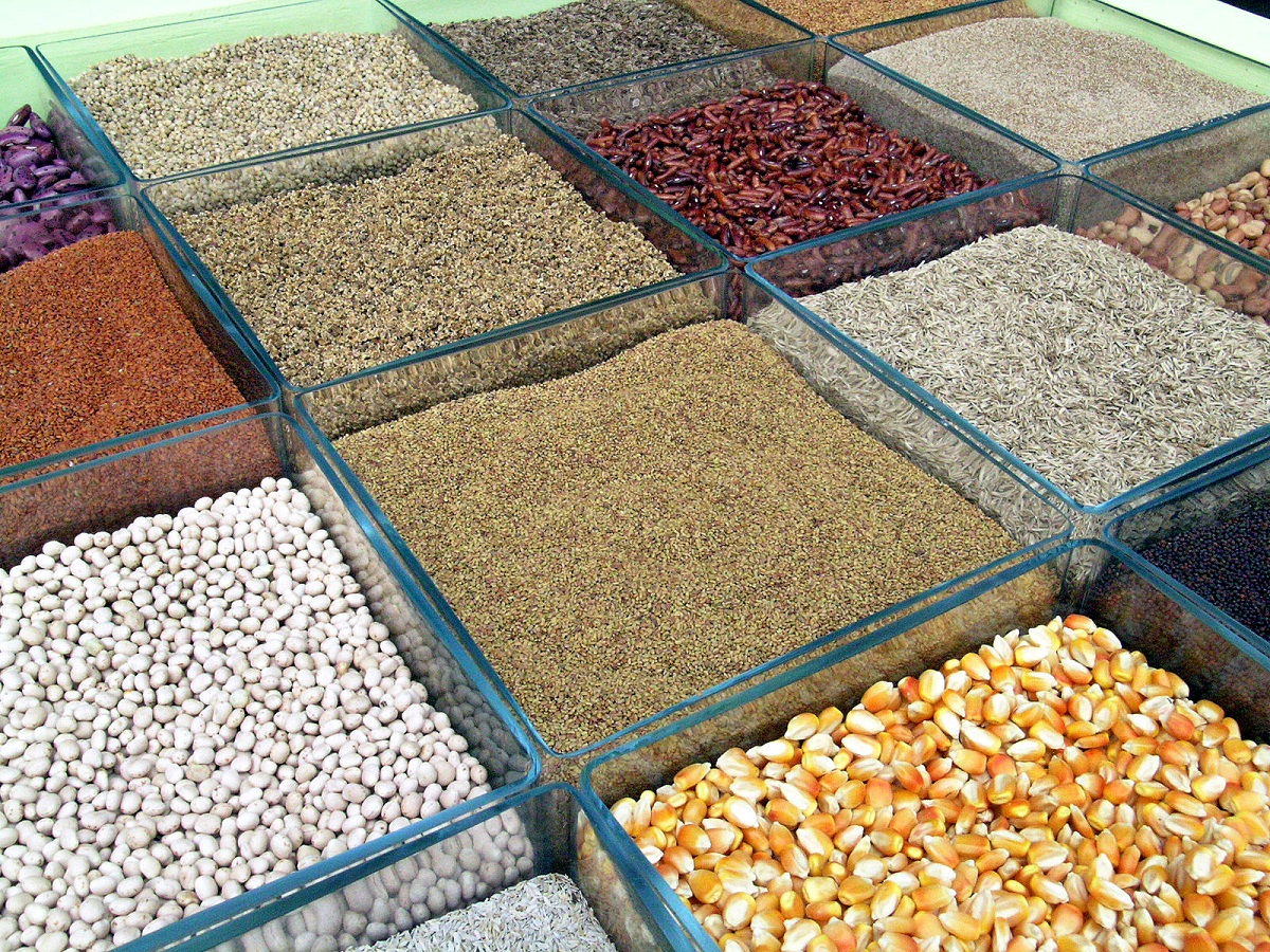 Economics and regulation of organic seeds