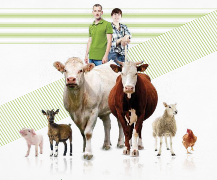 Tech & Bio Rendezvous - Animal husbandry & breeding - Organic Farm Knowledge