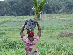 Een vrouw met een palmplant op haar hoofd