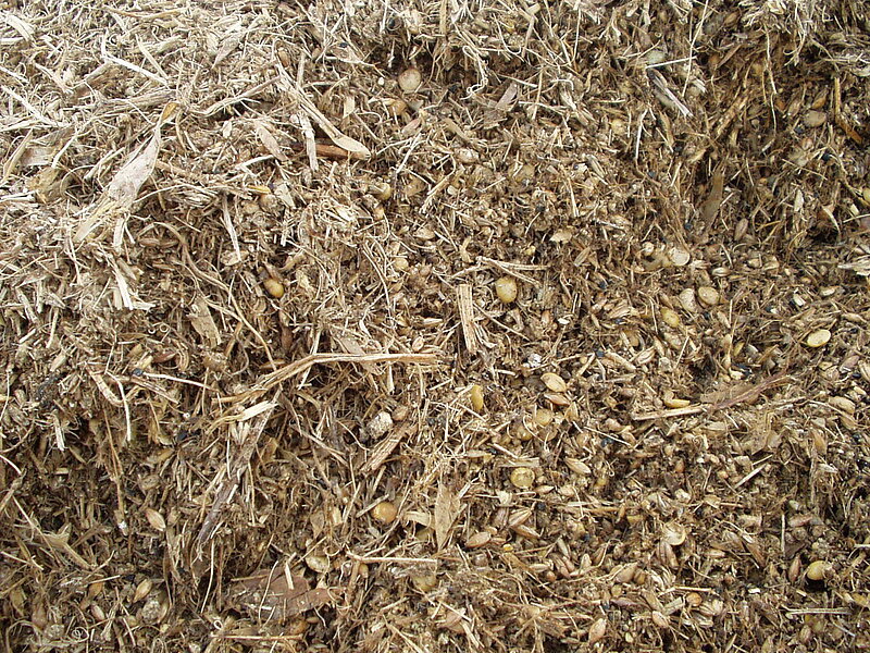 Figure 2: Barley-pea silage for laying hens. Photo: Niels Finn Johansen, SEGES