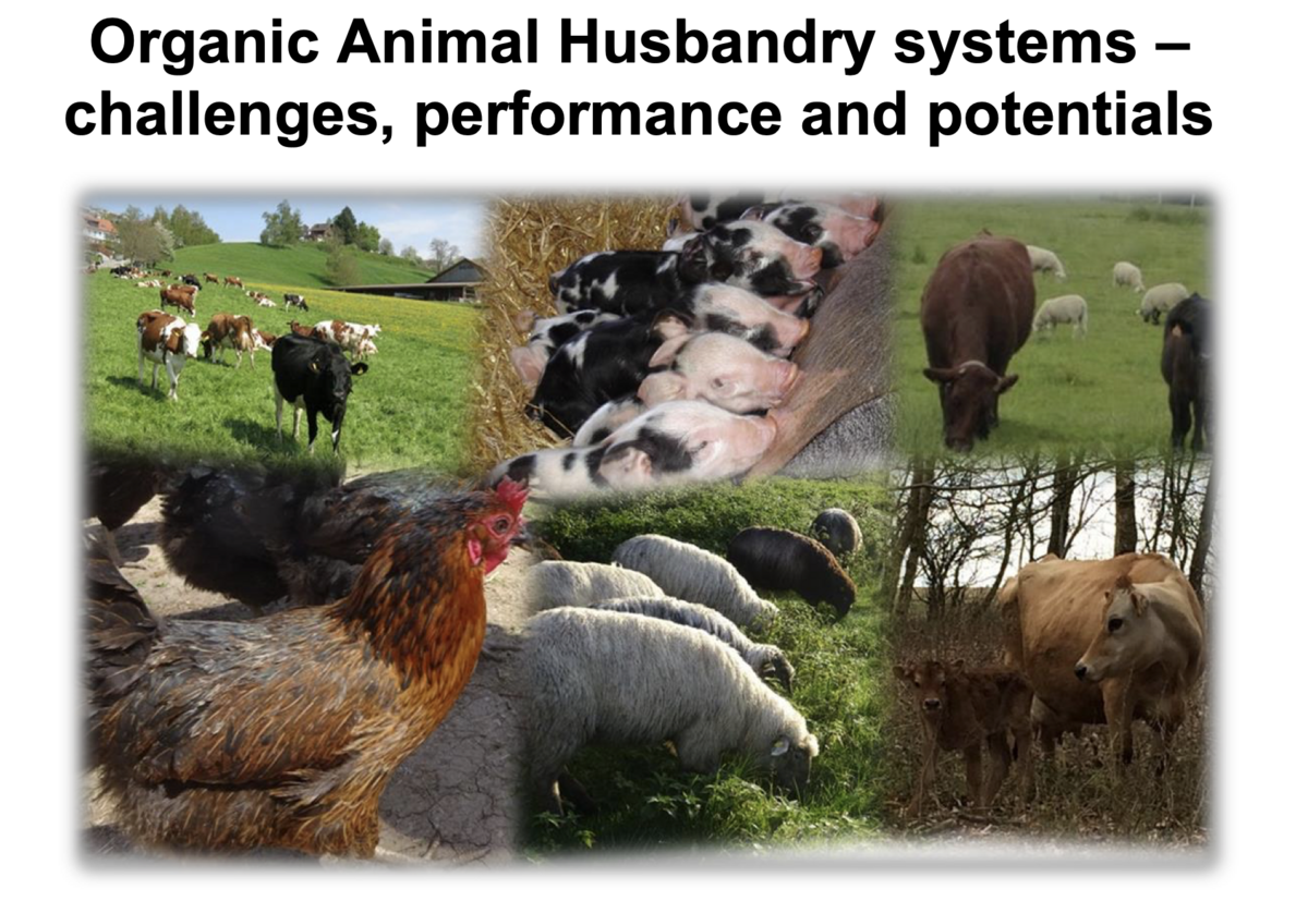 Future of organic animal husbandry in Europe - Organic Farm Knowledge