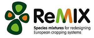 Logo ReMIX
