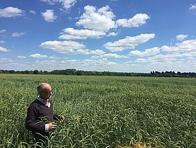 Farmer John Pawsey in a field of Winter Wheat at Shimpling Park Farm, Suffolk
