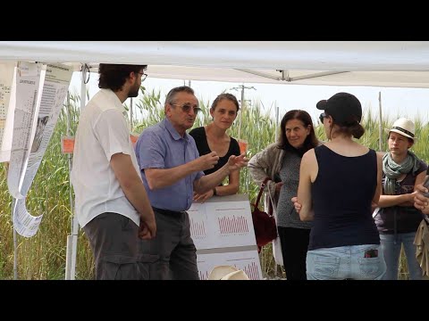 How to organise a field day (Liveseed video)