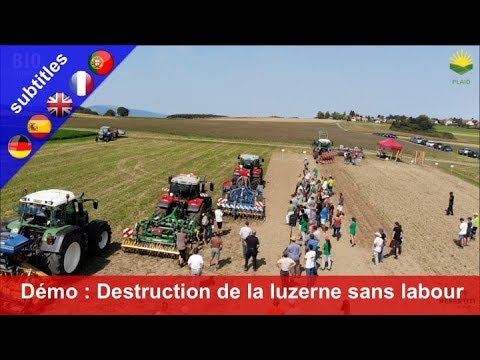 Demostración de máquina: destrucción de un cultivo de alfalfa sin arado ni herbicidas