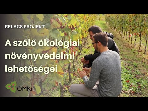 Ekoloģiskās augu aizsardzības iespējas vīnogām, ko papildina mūsu eksperimenti par vara aizstāšanu (RELACS video)