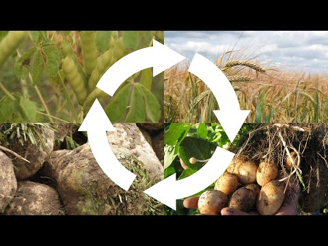 Rotazione delle colture: Informazioni pratiche (Best4Soil Video)