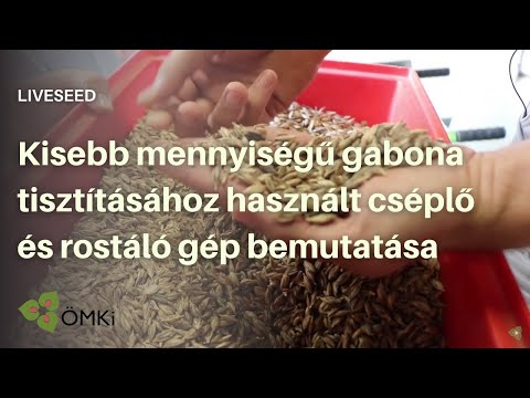 Kornrensning (video med levende frø)