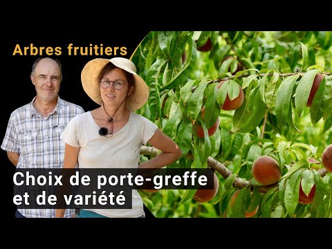 Rootstock and variety selection in organic fruit production (BIOFRUITNET Video)
