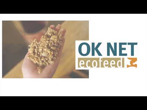 The potential for increasing the nutritional value of beans for pig and poultry diets (OK-Net Ecofeed video)