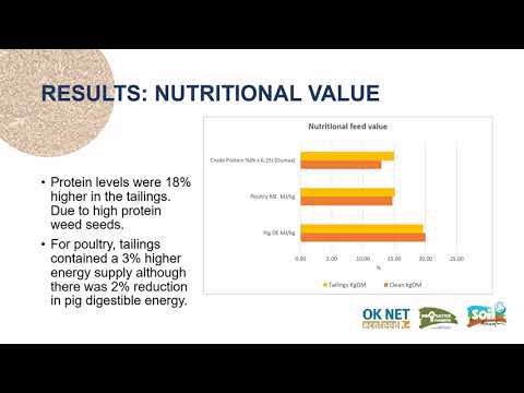 The potential feed value of grain tailings for poultry (OK-Net Ecofeed video)