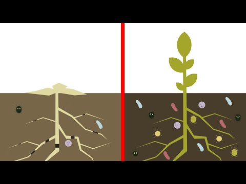 Органична материя в почвата (Best4Soil Video)