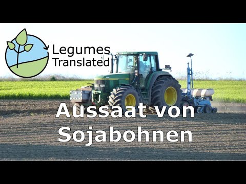 Aussaat von Sojabohnen (Leguminosen übersetztes Video)