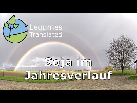 Le soja au cours de l'année (Vidéo traduite des légumineuses)