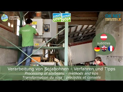 Sojas pupu apstrāde — metodes un padomi (OK-Net EcoFeed video)