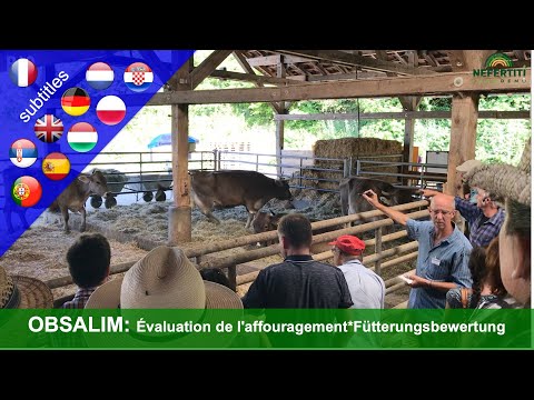 La Méthode OBSALIM : Évaluation alimentaire sur ruminants