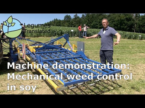 Démonstration de machine : Désherbage mécanique du soja (Vidéo traduite des légumineuses)