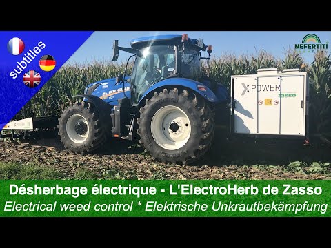 Elektrisk ogräsbekämpning - The ElectroHerb från Zasso