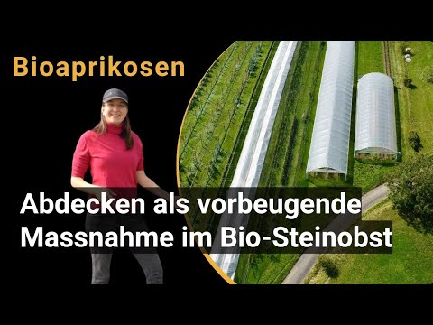 Takarás megelőző intézkedésként a bio csonthéjas termesztésben (BIOFRUITNET videó)