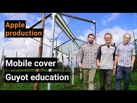Nye måder i økologisk frugtavl: intelligente dæksler og Guyot træningssystem til æble (Biofruitnet Video)