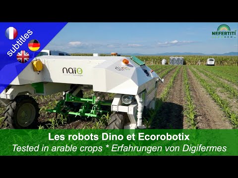 Hubení plevele pomocí robotů Dino a Ecorobotix v plodinách na orné půdě – zkušenosti společnosti Digifermes