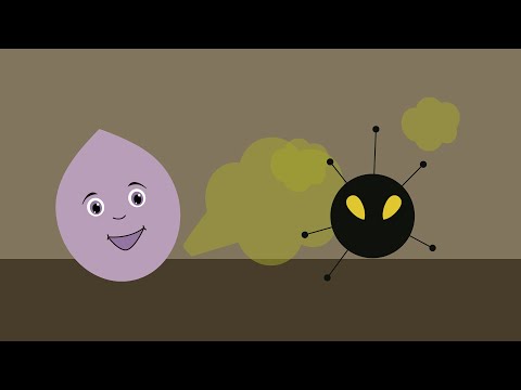 Mikrobielle Antagonisten & bca: praktische Informationen (Best4Soil Video)