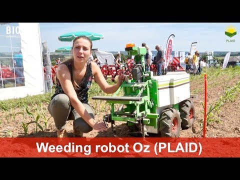 Oz, роботът за плевене за по-малки производители на зеленчуци