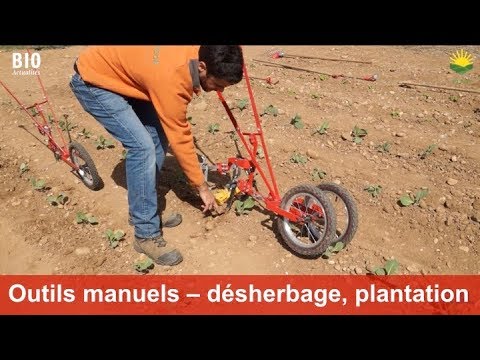Terrateck's hand tools for market gardening - Vegetable hoe and paperpot transplanter