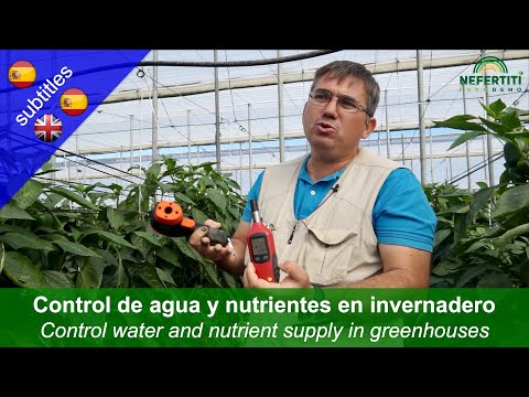 Nuevas técnicas para controlar el suministro de agua y nutrientes a los cultivos en invernaderos